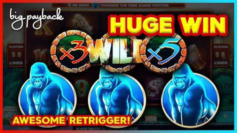 king of the jungle slot|Rare Game → SHOCKING HUGE WIN! King Of The Jungle Slot.